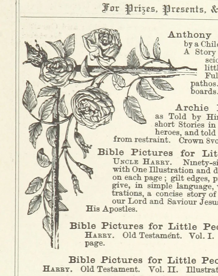 An illustration from The Light-ship Hand; or, the Strange Adventures of Richard Gayden, etc. [A tale, 1893, leaf 209