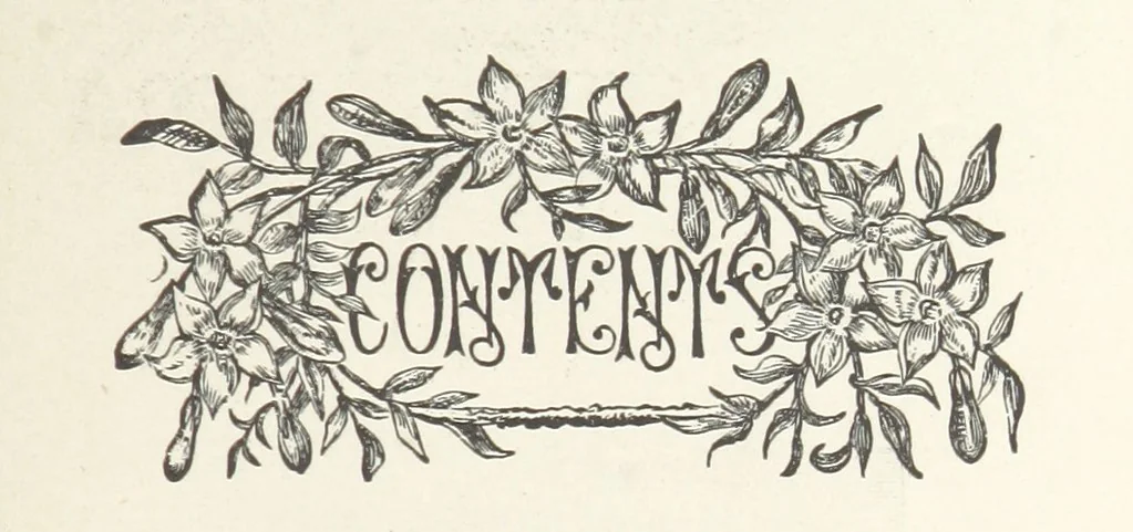 An illustration from The Light-ship Hand; or, the Strange Adventures of Richard Gayden, etc. [A tale, 1893, leaf 9
