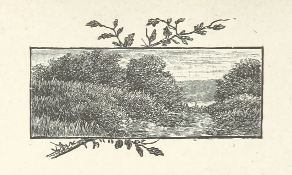 An illustration from The Light-ship Hand; or, the Strange Adventures of Richard Gayden, etc. [A tale, 1893, leaf 98