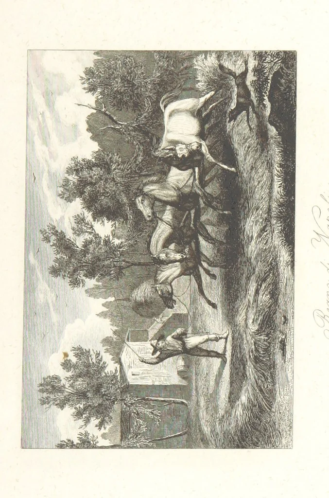 An illustration from Europa's Eden in Bildern. 100 Ansichten und Costum-Bilder von Italien und seinem Volke. [Without letterpress.] Nach Original-Gemälden in Stahl gestochen von C. F., Catel, Gail, Gotzlöff, Mosbrugger, Weller, Pinelli, etc, 1858, leaf 203