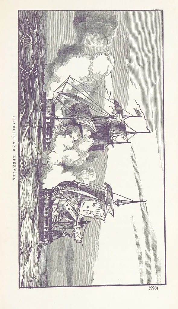 An illustration from The Book of the Navy; comprising a general history of the American Marine; and particular accounts of all the most celebrated naval battles, from the Declaration of Independence to the present time. With an appendix, 1843, leaf 233