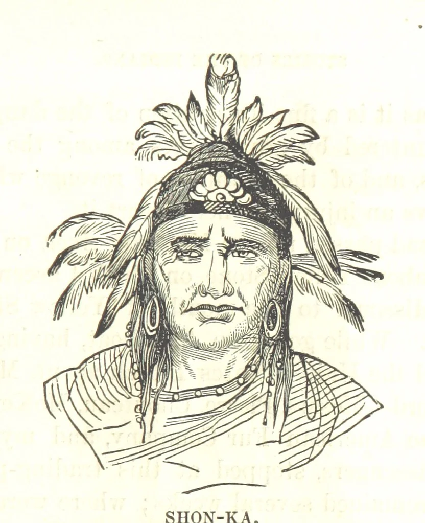 An illustration from Illustrated Historical Sketches of the Indians, exhibiting their manners and customs on the battle field, and in the Wigwam ... From the best authorities, 1857, leaf 113
