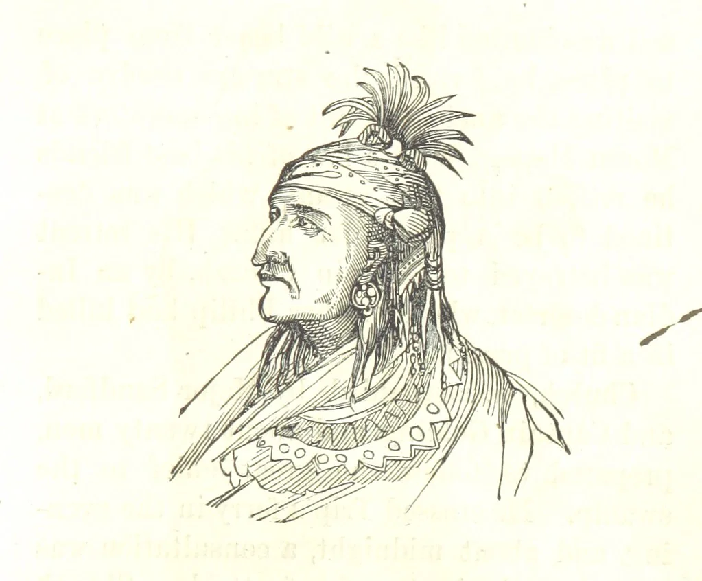 An illustration from Illustrated Historical Sketches of the Indians, exhibiting their manners and customs on the battle field, and in the Wigwam ... From the best authorities, 1857, leaf 149