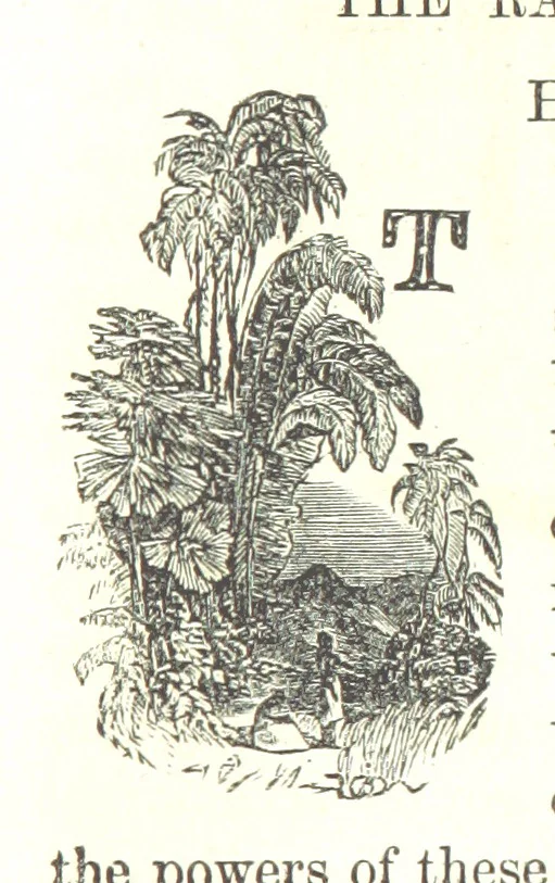 An illustration from Illustrated Historical Sketches of the Indians, exhibiting their manners and customs on the battle field, and in the Wigwam ... From the best authorities, 1857, leaf 159