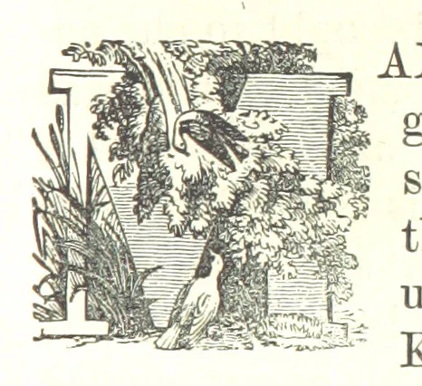 An illustration from Illustrated Historical Sketches of the Indians, exhibiting their manners and customs on the battle field, and in the Wigwam ... From the best authorities, 1857, leaf 177