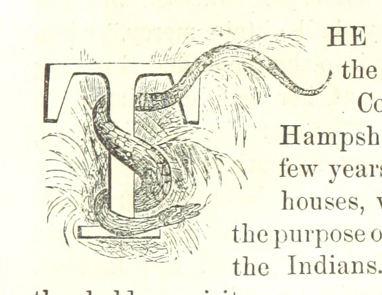An illustration from Illustrated Historical Sketches of the Indians, exhibiting their manners and customs on the battle field, and in the Wigwam ... From the best authorities, 1857, leaf 195