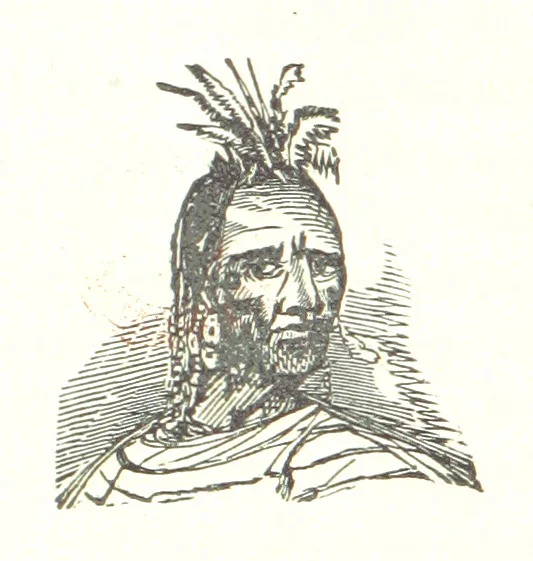 An illustration from Illustrated Historical Sketches of the Indians, exhibiting their manners and customs on the battle field, and in the Wigwam ... From the best authorities, 1857, leaf 216