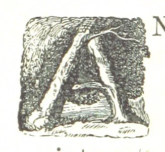 An illustration from Illustrated Historical Sketches of the Indians, exhibiting their manners and customs on the battle field, and in the Wigwam ... From the best authorities, 1857, leaf 236
