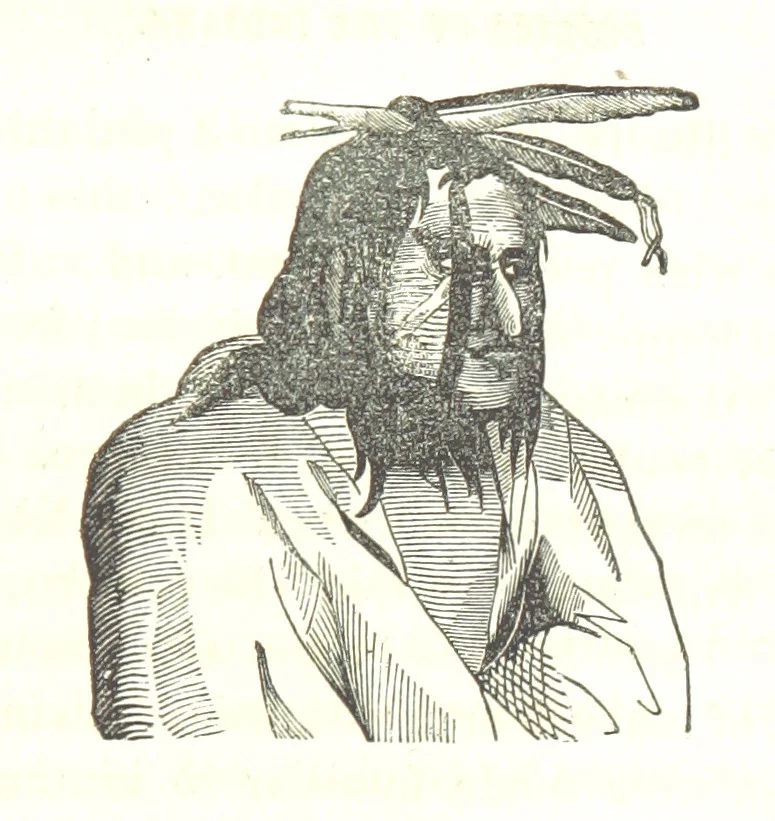 An illustration from Illustrated Historical Sketches of the Indians, exhibiting their manners and customs on the battle field, and in the Wigwam ... From the best authorities, 1857, leaf 255