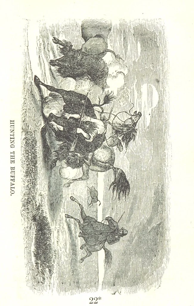 An illustration from Illustrated Historical Sketches of the Indians, exhibiting their manners and customs on the battle field, and in the Wigwam ... From the best authorities, 1857, leaf 271