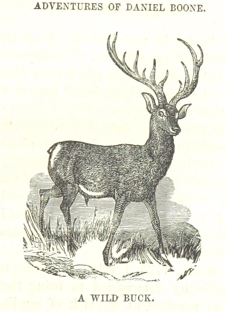 An illustration from Illustrated Historical Sketches of the Indians, exhibiting their manners and customs on the battle field, and in the Wigwam ... From the best authorities, 1857, leaf 277