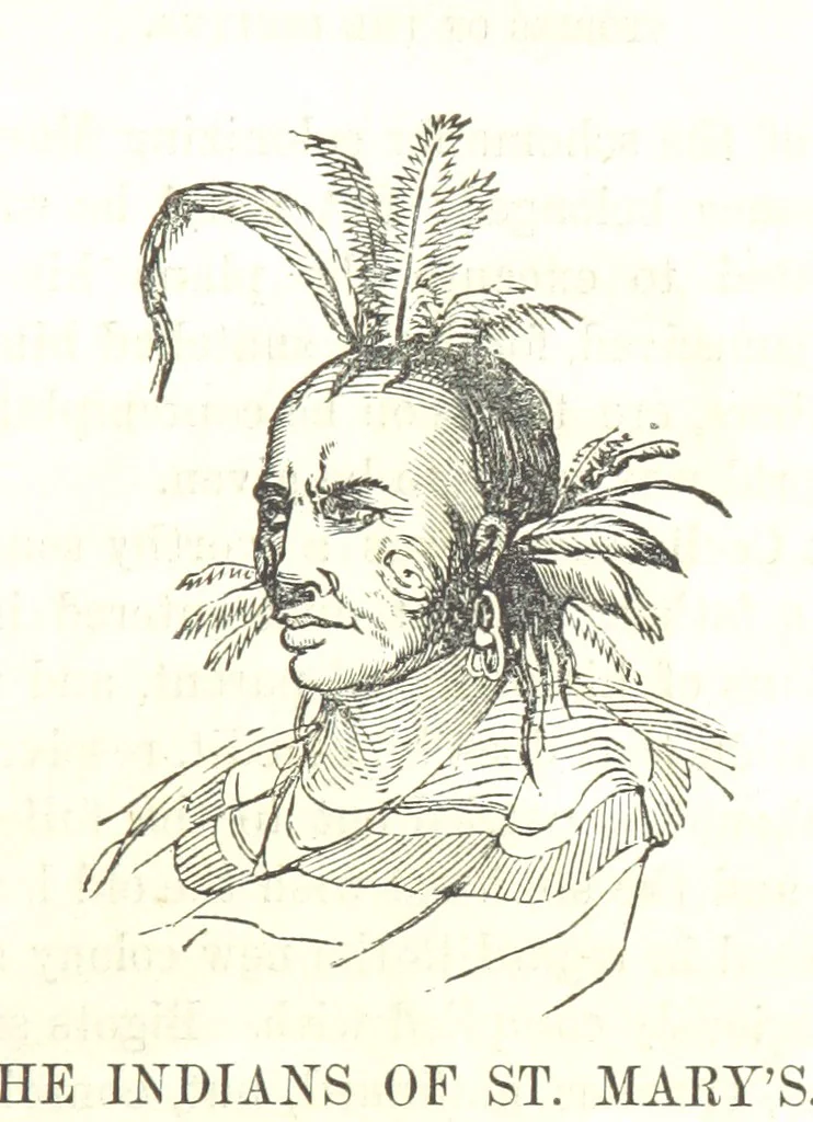 An illustration from Illustrated Historical Sketches of the Indians, exhibiting their manners and customs on the battle field, and in the Wigwam ... From the best authorities, 1857, leaf 319