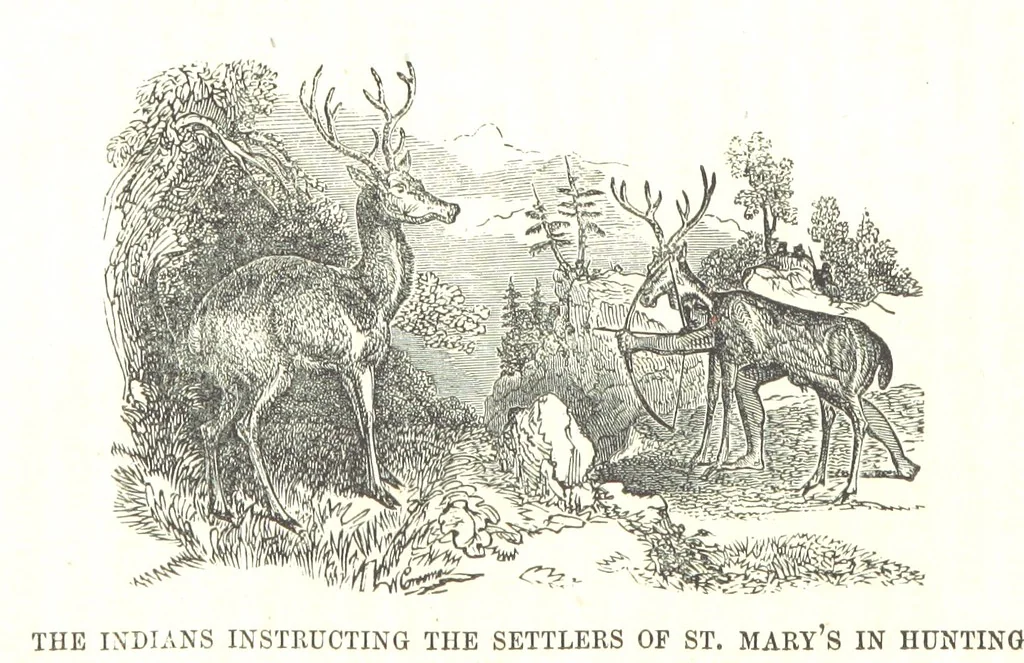 An illustration from Illustrated Historical Sketches of the Indians, exhibiting their manners and customs on the battle field, and in the Wigwam ... From the best authorities, 1857, leaf 337