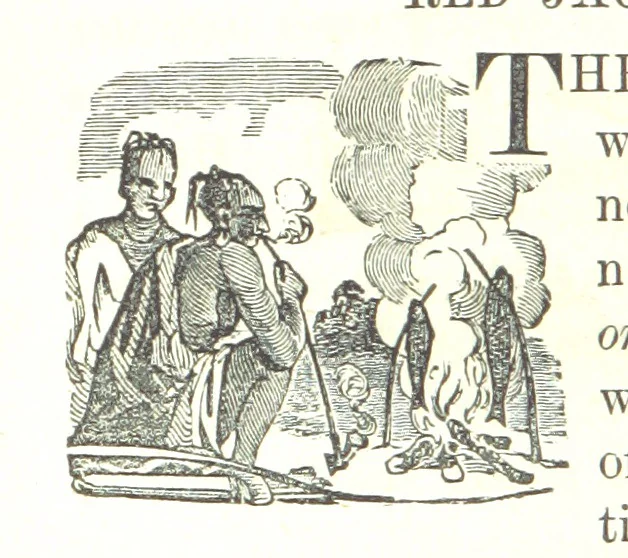 An illustration from Illustrated Historical Sketches of the Indians, exhibiting their manners and customs on the battle field, and in the Wigwam ... From the best authorities, 1857, leaf 346