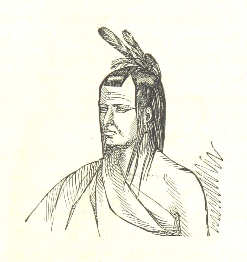 An illustration from Illustrated Historical Sketches of the Indians, exhibiting their manners and customs on the battle field, and in the Wigwam ... From the best authorities, 1857, leaf 371
