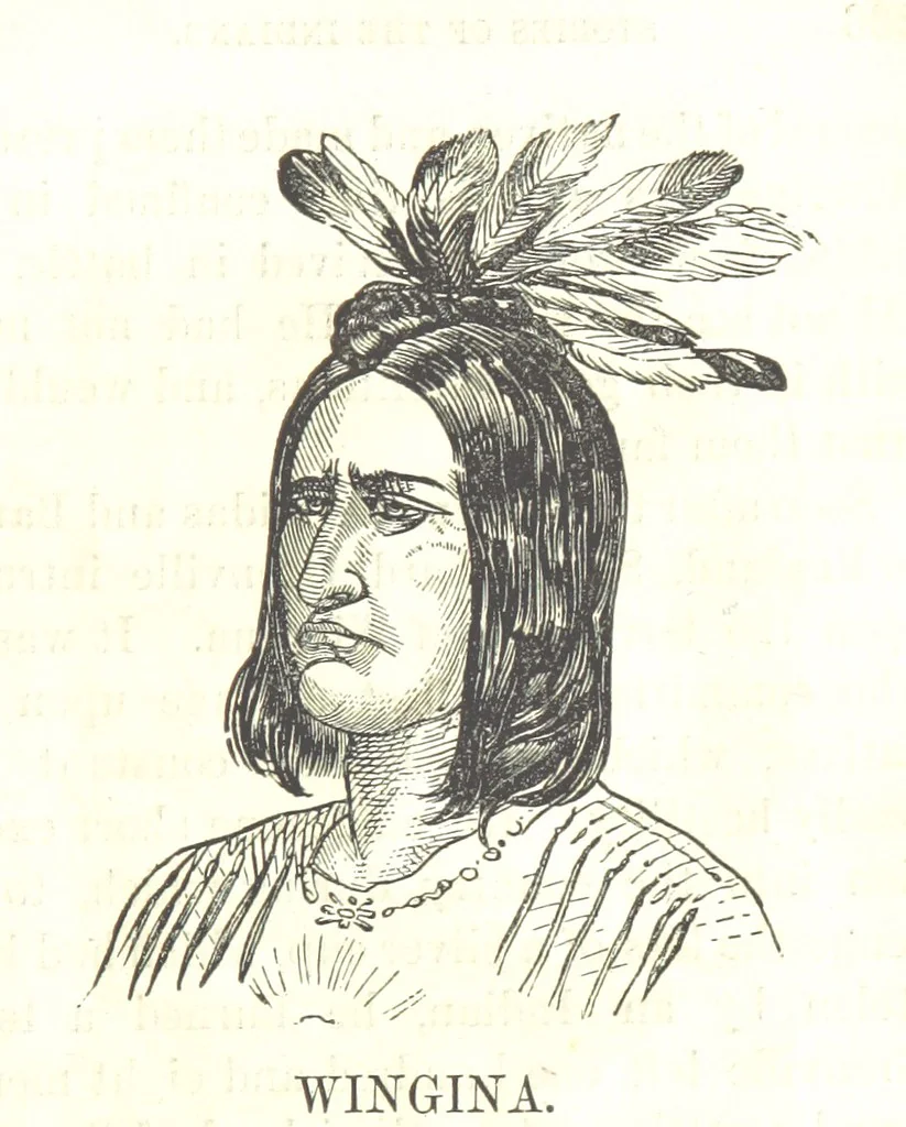 An illustration from Illustrated Historical Sketches of the Indians, exhibiting their manners and customs on the battle field, and in the Wigwam ... From the best authorities, 1857, leaf 379