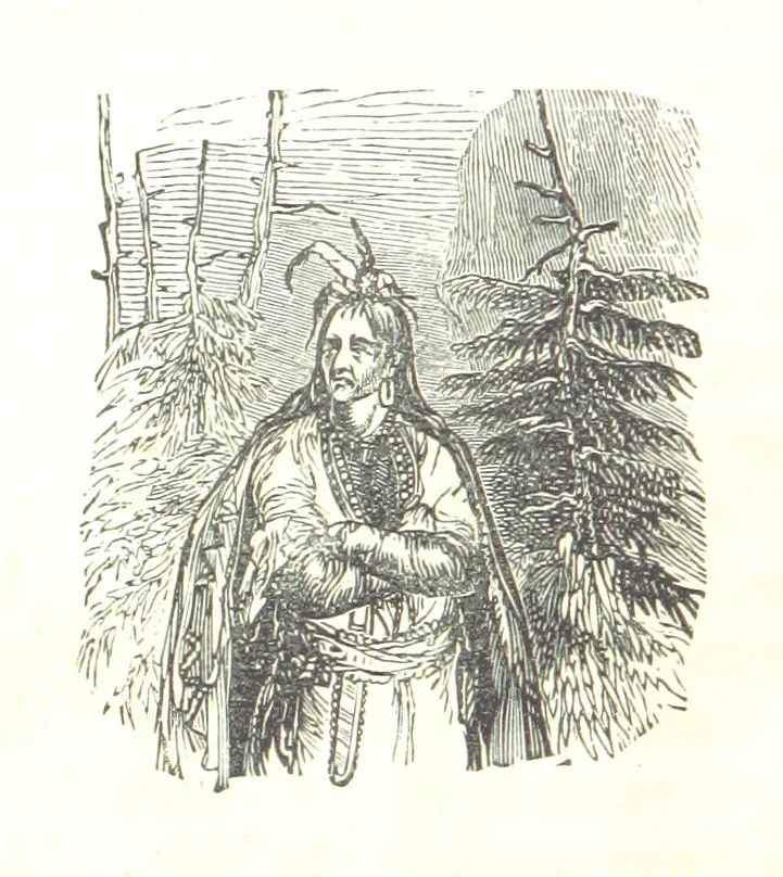An illustration from Illustrated Historical Sketches of the Indians, exhibiting their manners and customs on the battle field, and in the Wigwam ... From the best authorities, 1857, leaf 46