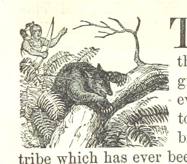 An illustration from Illustrated Historical Sketches of the Indians, exhibiting their manners and customs on the battle field, and in the Wigwam ... From the best authorities, 1857, leaf 71