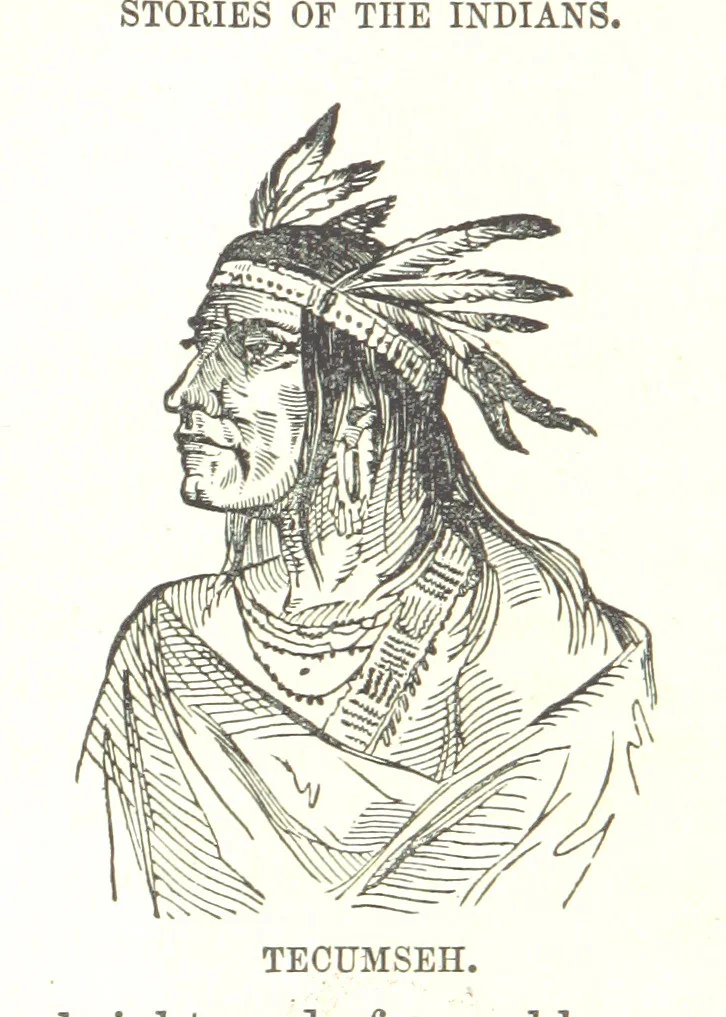 An illustration from Illustrated Historical Sketches of the Indians, exhibiting their manners and customs on the battle field, and in the Wigwam ... From the best authorities, 1857, leaf 80