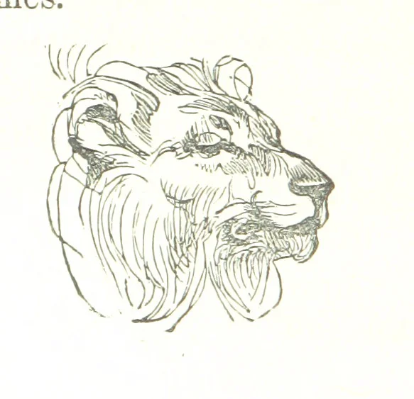 An illustration from Illustrated Historical Sketches of the Indians, exhibiting their manners and customs on the battle field, and in the Wigwam ... From the best authorities, 1857, leaf 94