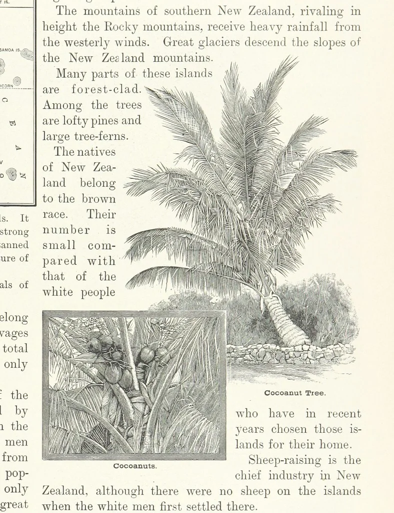 An illustration from Advanced Geography, 1899, leaf 101