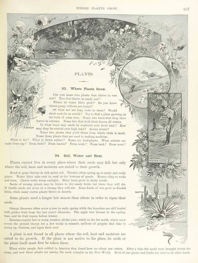 An illustration from Advanced Geography, 1899, leaf 111