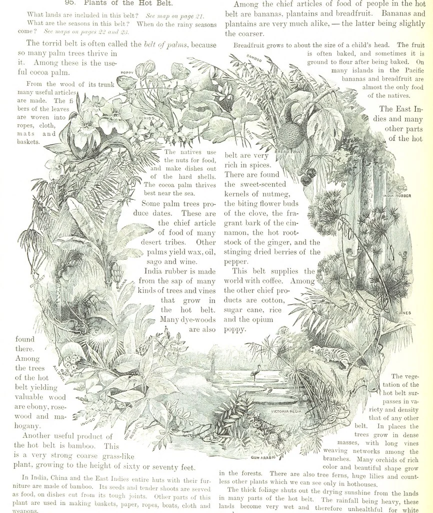 An illustration from Advanced Geography, 1899, leaf 112