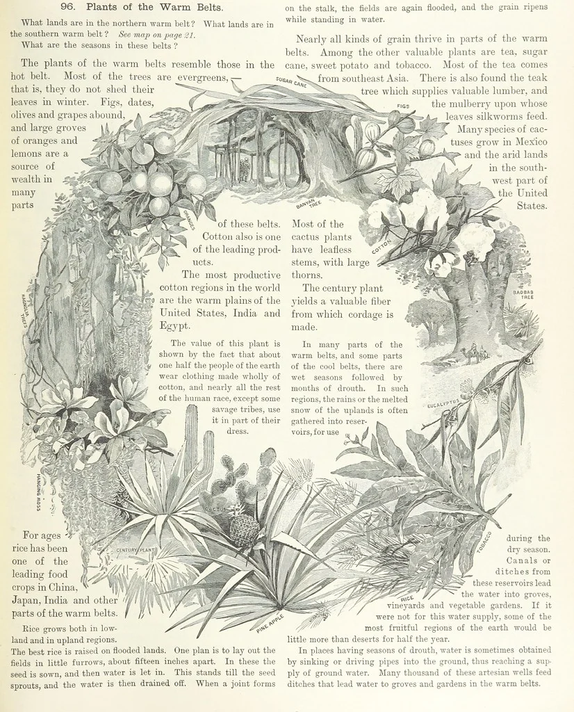 An illustration from Advanced Geography, 1899, leaf 113