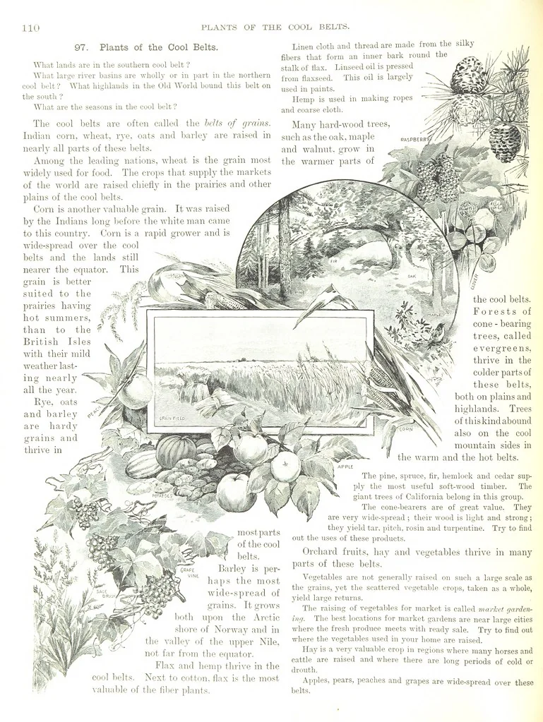 An illustration from Advanced Geography, 1899, leaf 114