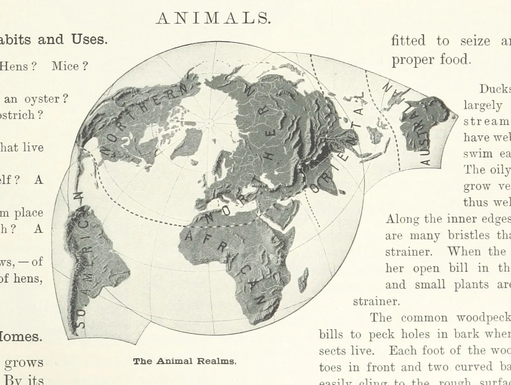 An illustration from Advanced Geography, 1899, leaf 115