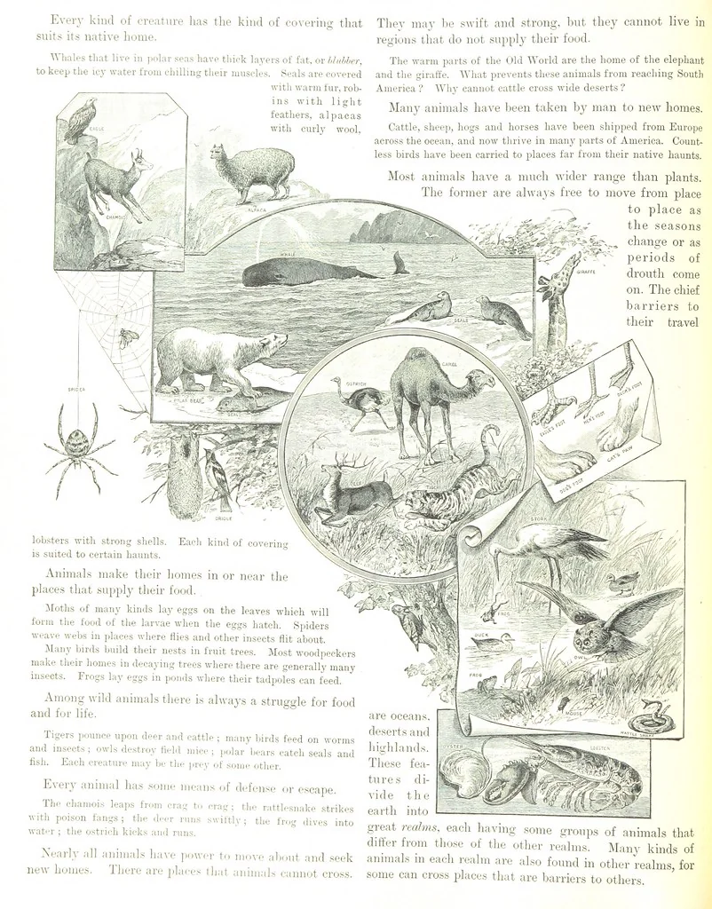 An illustration from Advanced Geography, 1899, leaf 116