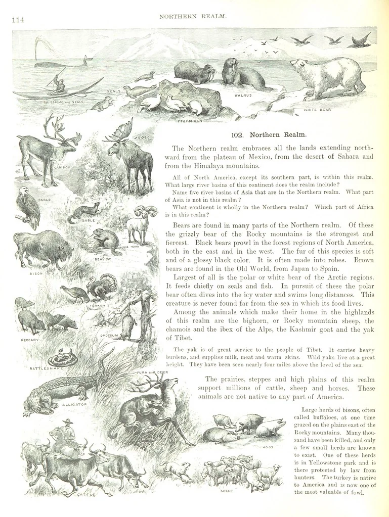 An illustration from Advanced Geography, 1899, leaf 118