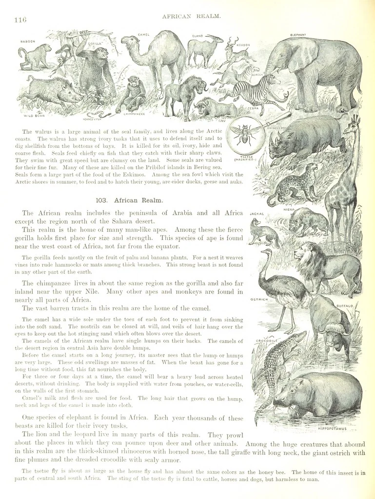 An illustration from Advanced Geography, 1899, leaf 120