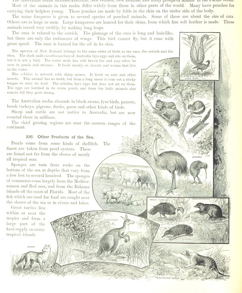 An illustration from Advanced Geography, 1899, leaf 122
