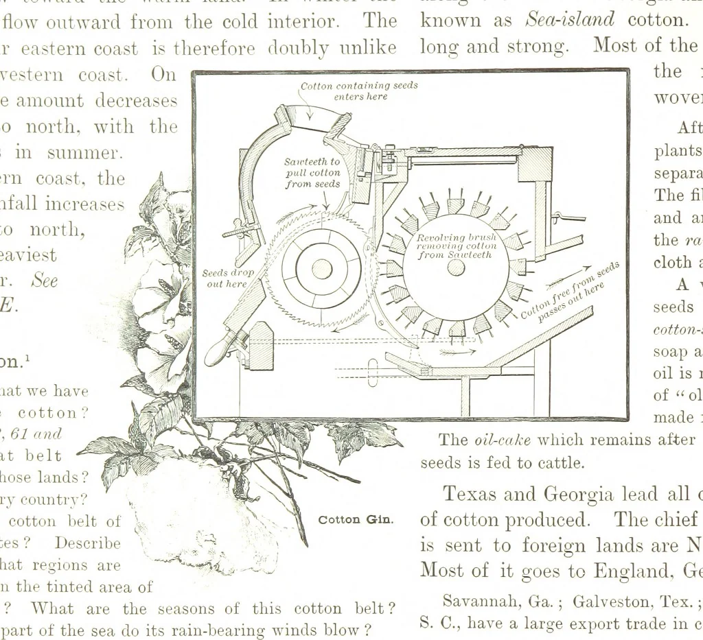 An illustration from Advanced Geography, 1899, leaf 134