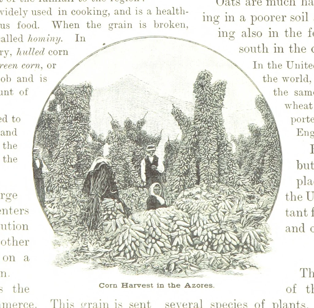 An illustration from Advanced Geography, 1899, leaf 136