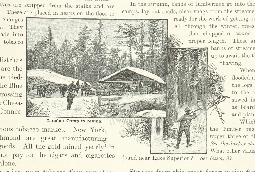An illustration from Advanced Geography, 1899, leaf 137