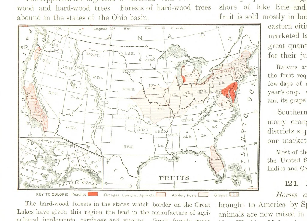 An illustration from Advanced Geography, 1899, leaf 138