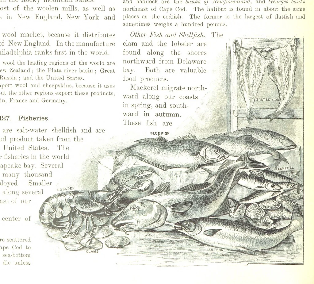 An illustration from Advanced Geography, 1899, leaf 140