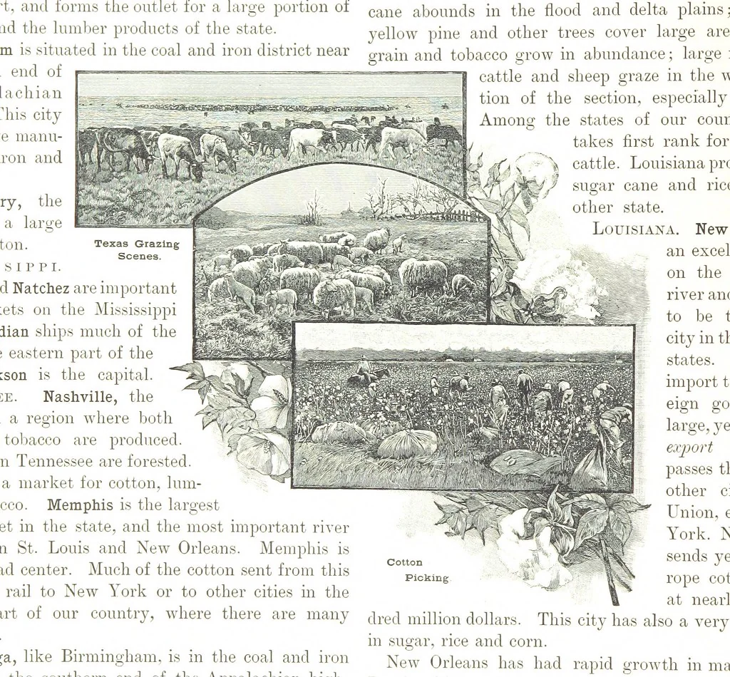 An illustration from Advanced Geography, 1899, leaf 152