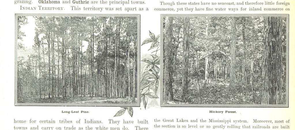 An illustration from Advanced Geography, 1899, leaf 154