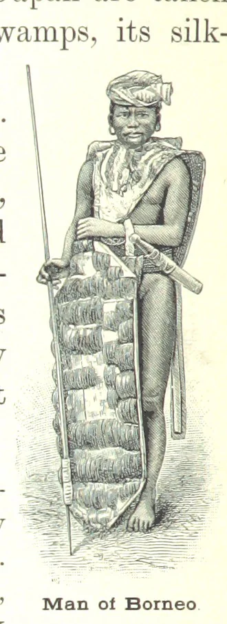An illustration from Advanced Geography, 1899, leaf 182