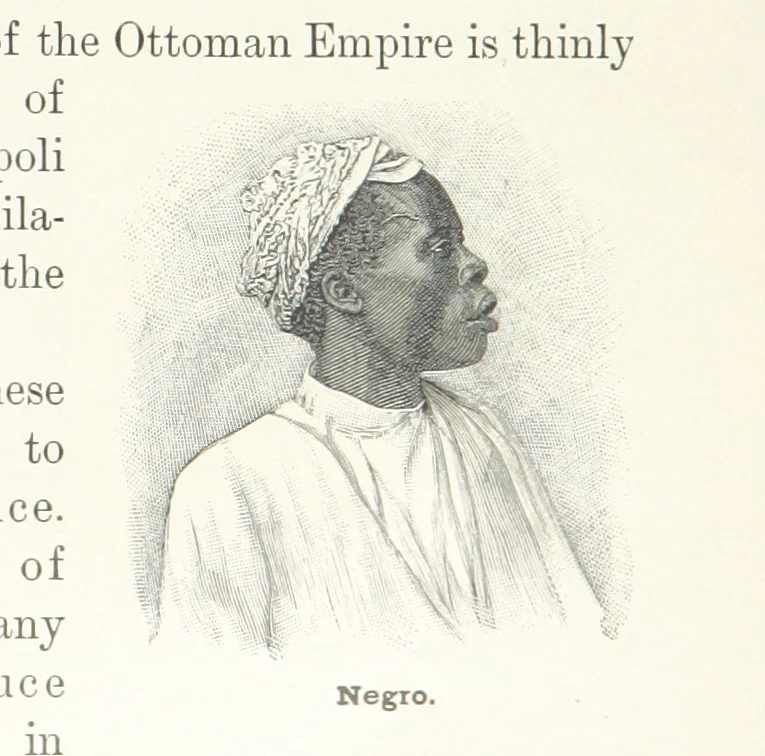 An illustration from Advanced Geography, 1899, leaf 183