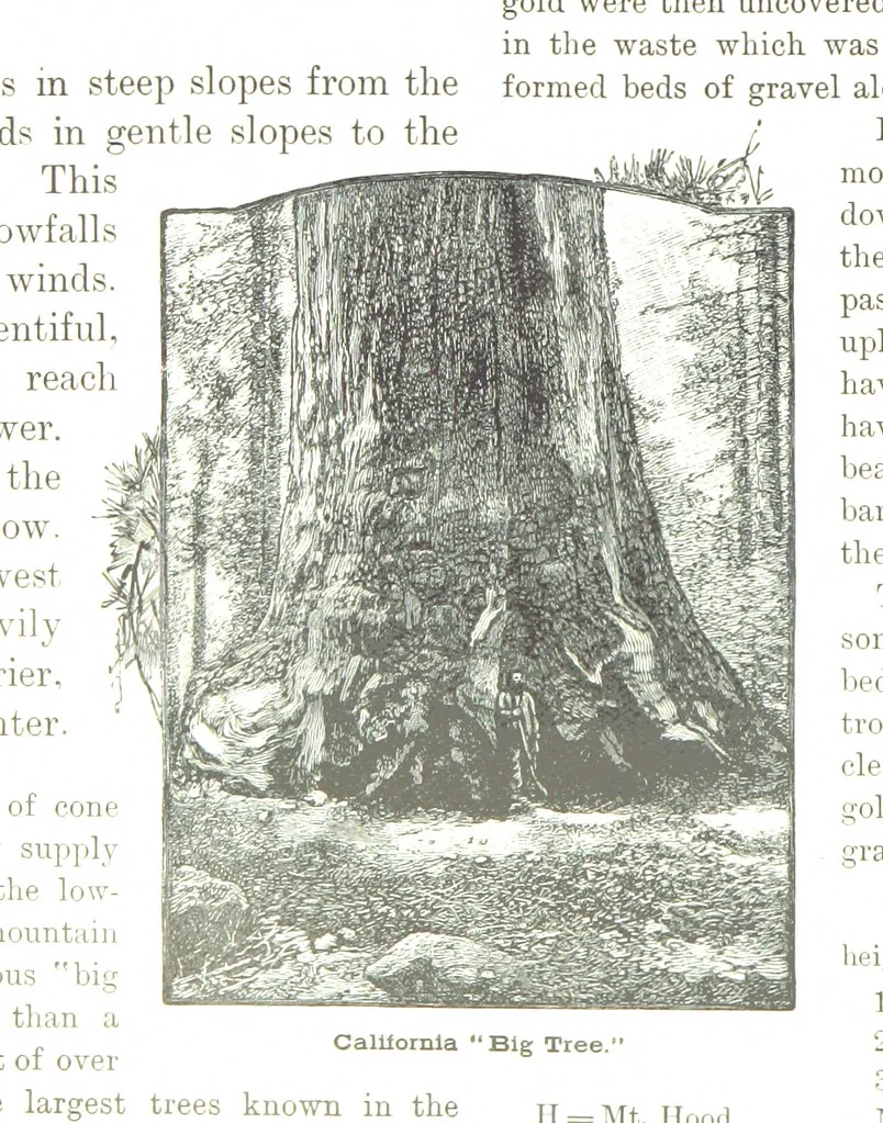 An illustration from Advanced Geography, 1899, leaf 36