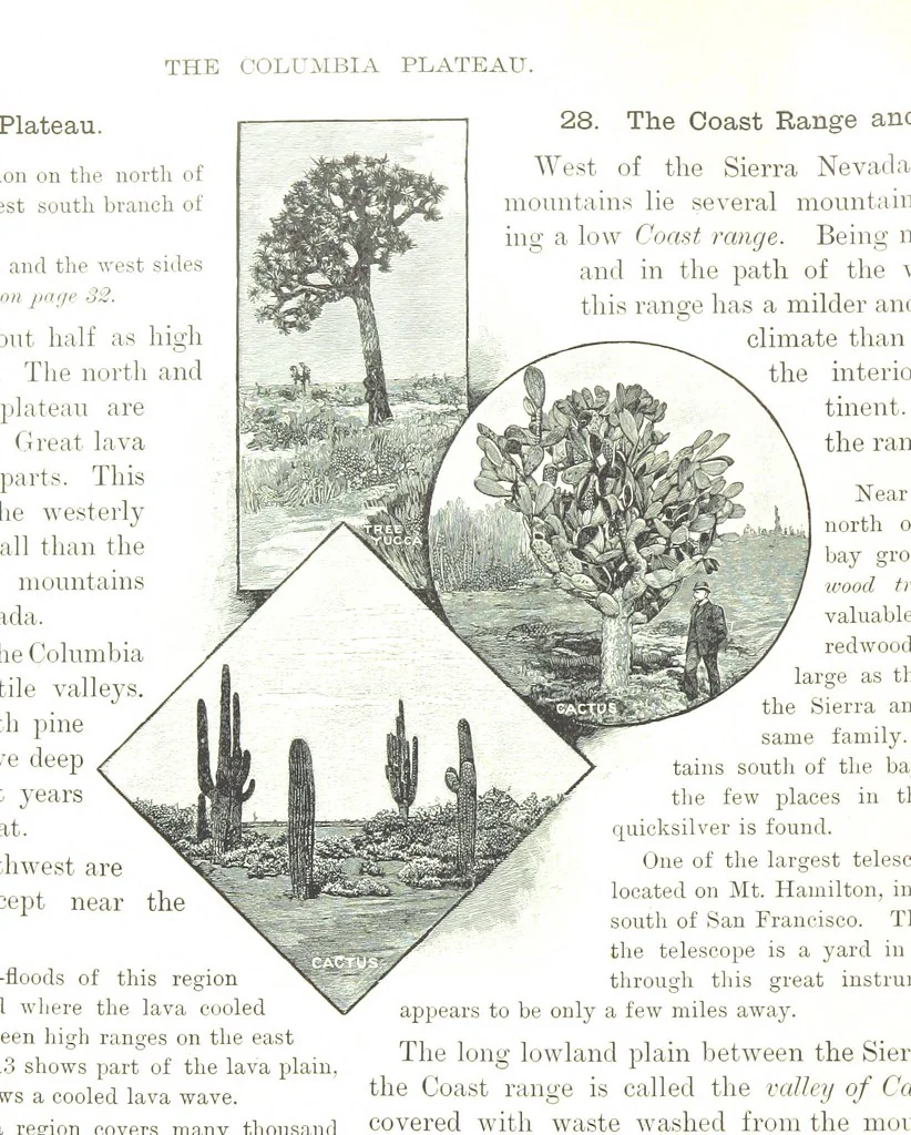 An illustration from Advanced Geography, 1899, leaf 42