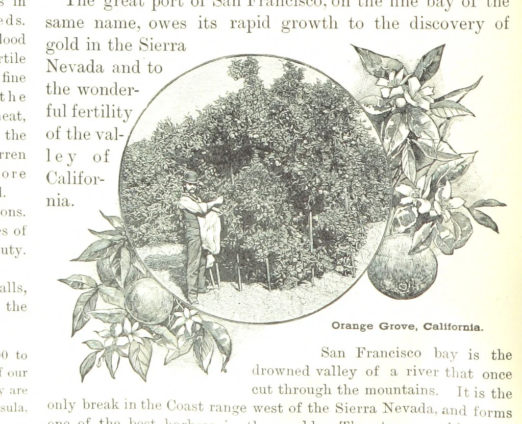 An illustration from Advanced Geography, 1899, leaf 42