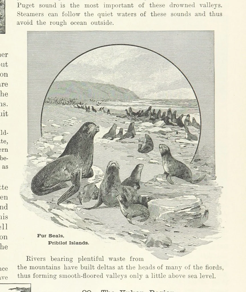 An illustration from Advanced Geography, 1899, leaf 43