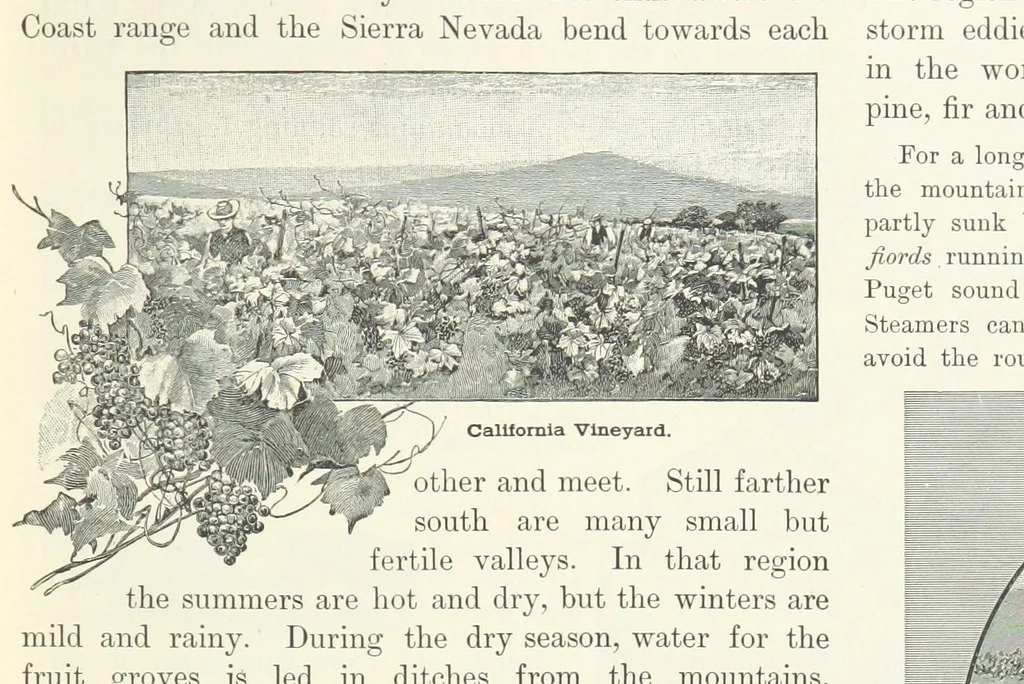 An illustration from Advanced Geography, 1899, leaf 43