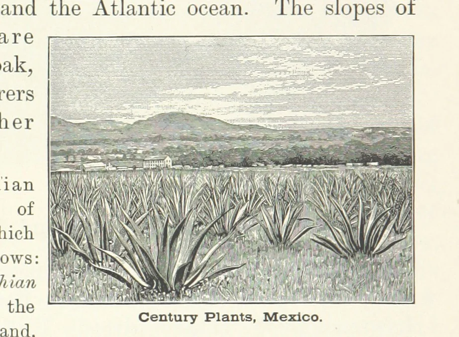 An illustration from Advanced Geography, 1899, leaf 45