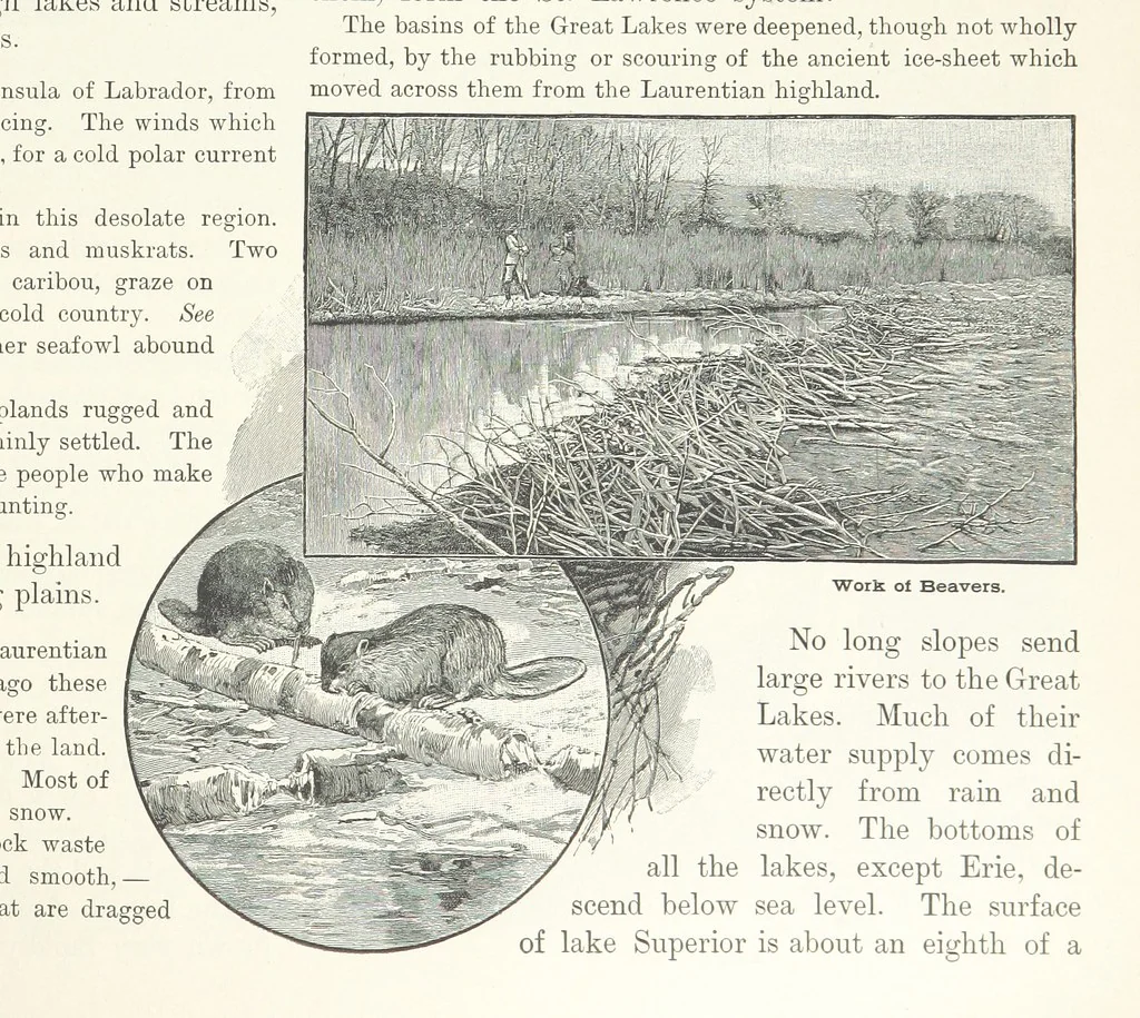 An illustration from Advanced Geography, 1899, leaf 49